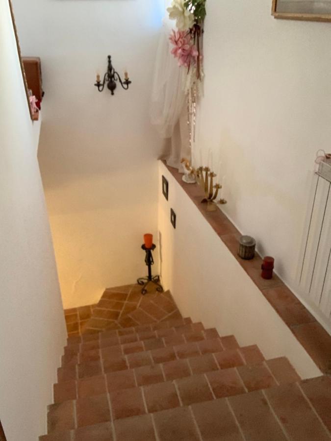 La Casa Dei Ricordi Apartman Collesalvetti Kültér fotó